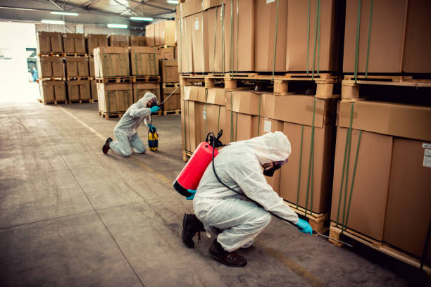 Best Residential Pest Control  in Alton, IL