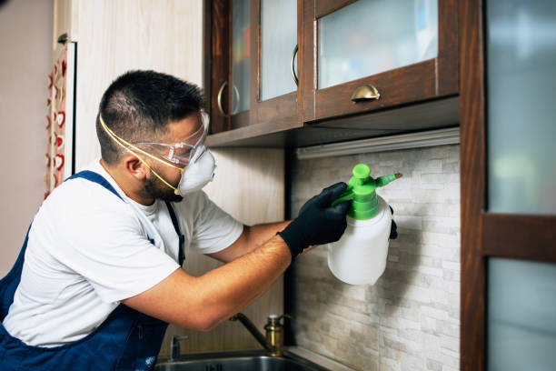  Alton, IL Pest Control Pros