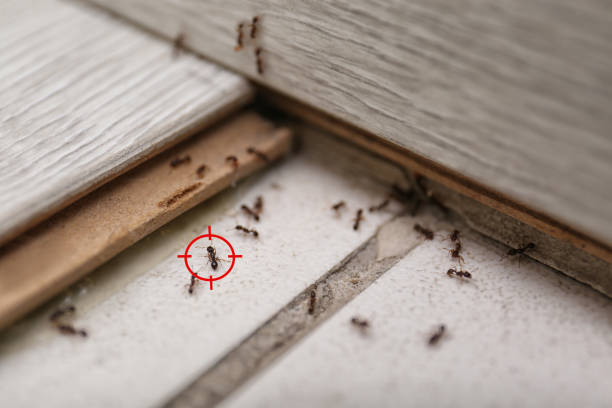 Alton, IL Pest Control Company