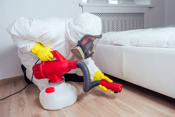Best Insect Control  in Alton, IL