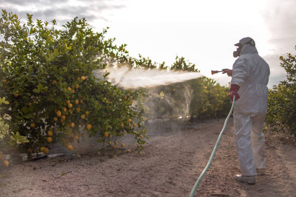 Pest Prevention Services in Alton, IL