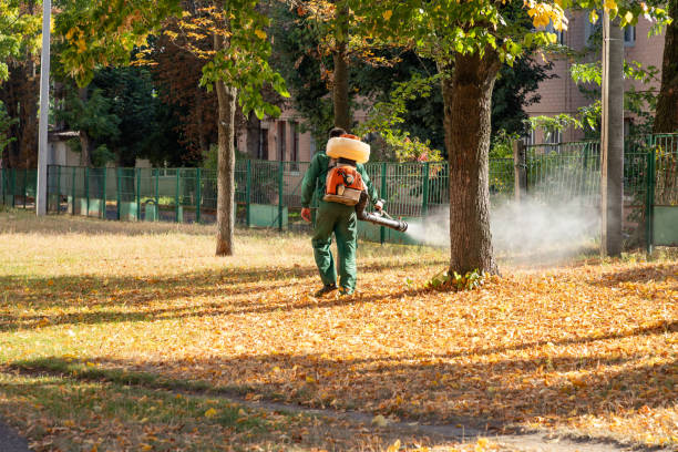 Best Pest Prevention Services  in Alton, IL