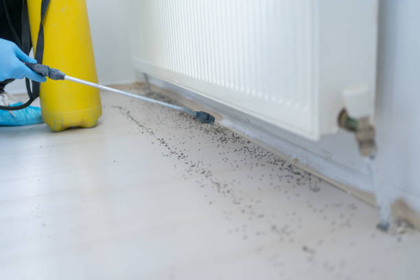 Best Pest Control for Homes  in Alton, IL