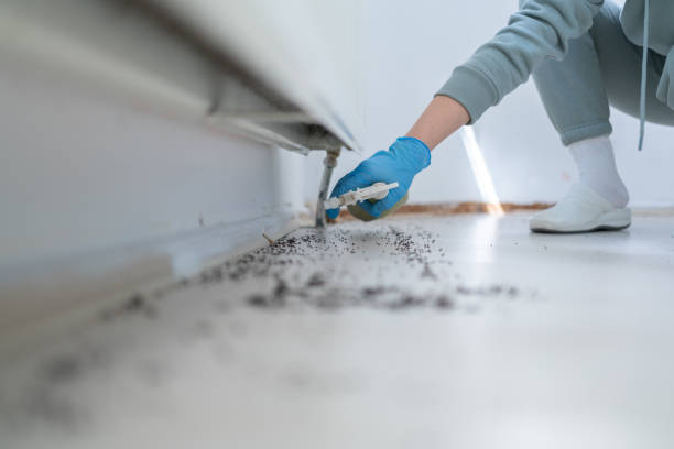 Pest Control for Restaurants in Alton, IL