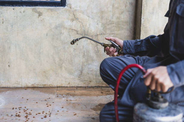 Best Pest Removal Services  in Alton, IL